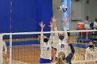 Volleyball vs RWU  Wheaton Women’s Volleyball vs Roger Williams University. : Volleyball, VB